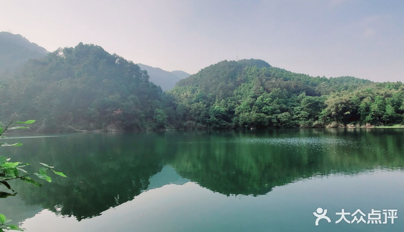 杨家沟水库