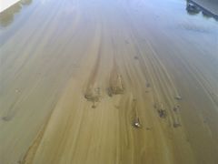 -西涌国际滨海旅游区