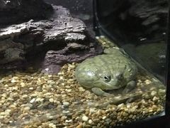 -暹罗海洋世界