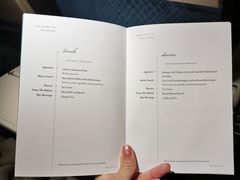 -新加坡航空公司(ION)