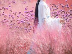 -九月鹰飞汉服摄影工作室