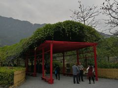 -牛鱼嘴原始生态风景区