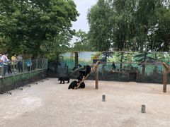 -西安秦岭野生动物园