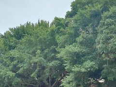 -闽粤南澳总镇府