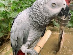 -南宫五洲植物乐园