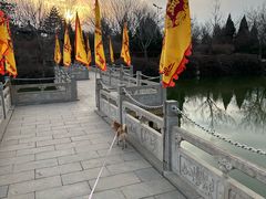 -大槐树寻根祭祖园