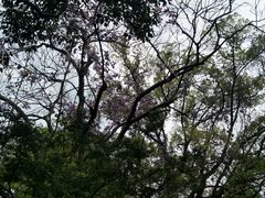 -绮园景区