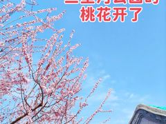 -三里河公园