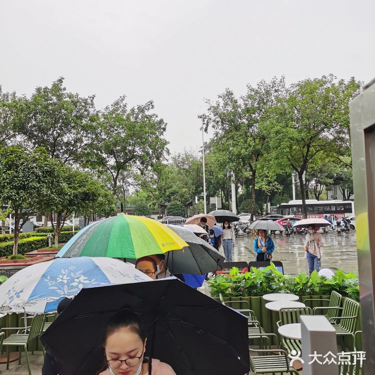食在武汉—下雨也无法阻挡排队的喜茶