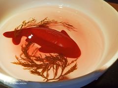 -蜀江龙火锅(339店)