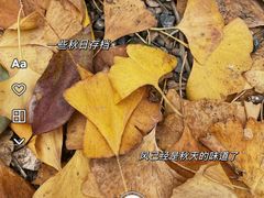 -长兴八都岕景区