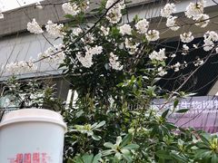 -鸡鸣赐茶(鸡鸣寺路店)