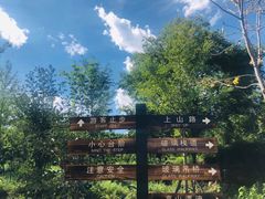 -十渡高山漂流