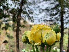 -人民公园(罗湖区)