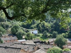 -杨家堂村