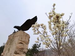 -鹫峰国家森林公园