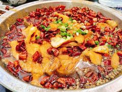 水煮鱼-鱼之家小四川水煮鱼