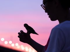 -宝安西湾红树林湿地公园