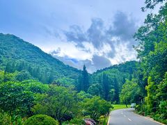 -深圳仙湖植物园