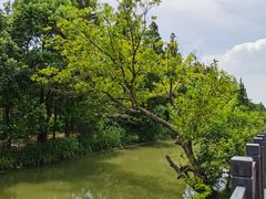 -上海长兴岛郊野公园