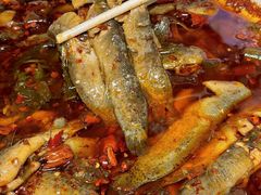 -情妹耙泥鳅·江湖川菜(科华店)