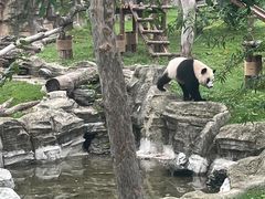 -武汉动物园