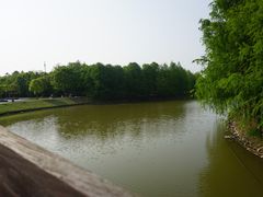 -上海海湾国家森林公园