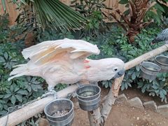 -南宫五洲植物乐园