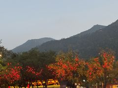 -华清宫景区