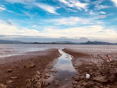 -深圳湾公园(南山区)