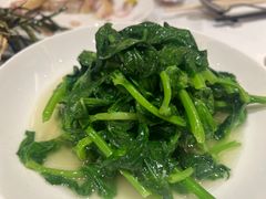 酒香豆苗-老吉士(环贸iapm店)
