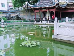 -碧江金楼