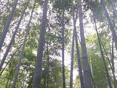 -陶祖圣境风景区