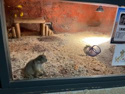 -酷嗒动物文化乐园(cutezoo西溪乐天城店)