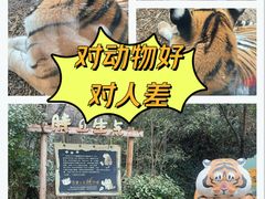 -红山森林动物园