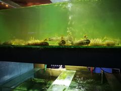-真浪大家乐海鲜餐馆