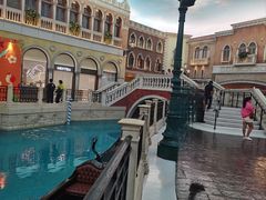-澳门威尼斯人综合度假区