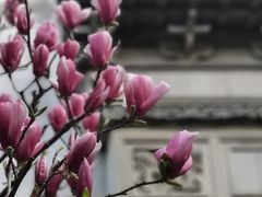 -山塘街