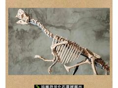 -遇见博物馆(遇见海洋沉浸式奇幻光影展)