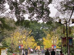 -东西巷
