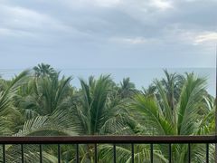 -日落吧·海景咖啡厅·餐酒吧·鸡尾酒·下午茶·乐队表演·浪漫夕阳·三亚文华东方酒店