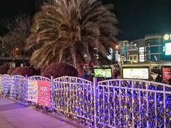 -证大大拇指广场(芳甸路店)