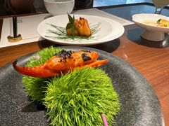 -觀芷隐轩
