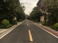 -美的鹭湖森林度假区