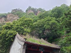 -北京鹫峰国家森林公园