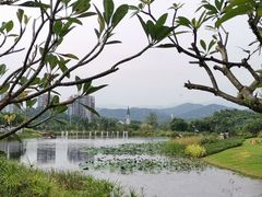 -恒大世纪梦幻城