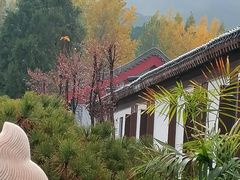 -泰山风景名胜区-虎山公园