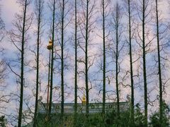 -上海市龙华烈士陵园