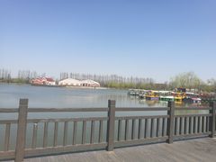 -上海长兴岛郊野公园