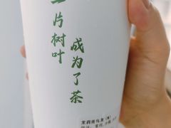 -一树一叶·福建茶档(石鼓路店)